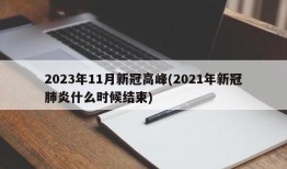 2023年11月新冠高峰(2021年新冠肺炎什么时候结束)