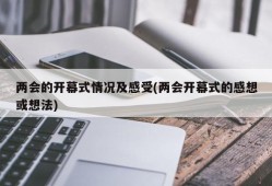 两会的开幕式情况及感受(两会开幕式的感想或想法)