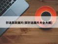 轩逸新款图片(新轩逸图片大全大图)