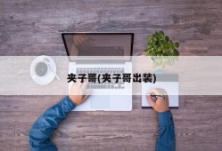 夹子哥(夹子哥出装)