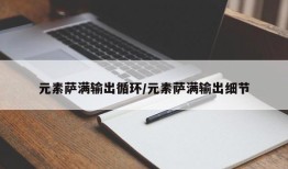 元素萨满输出循环/元素萨满输出细节